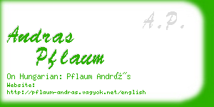 andras pflaum business card